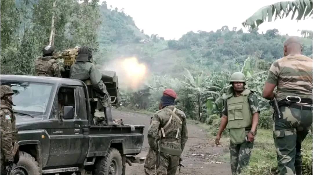 FARDC