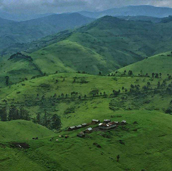 Masisi vue d'une ferme_photo des droits tiers