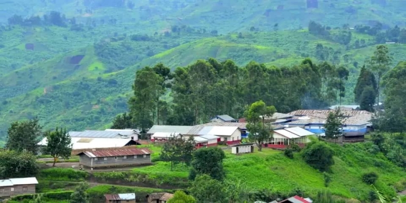 Masisi