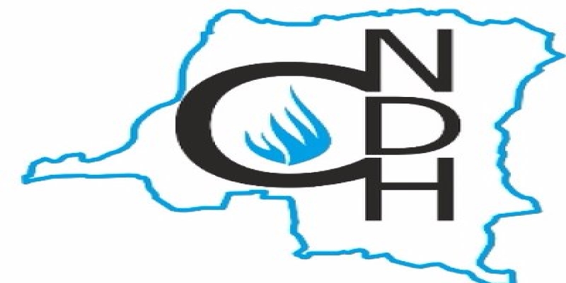 Logo CNDH RDC