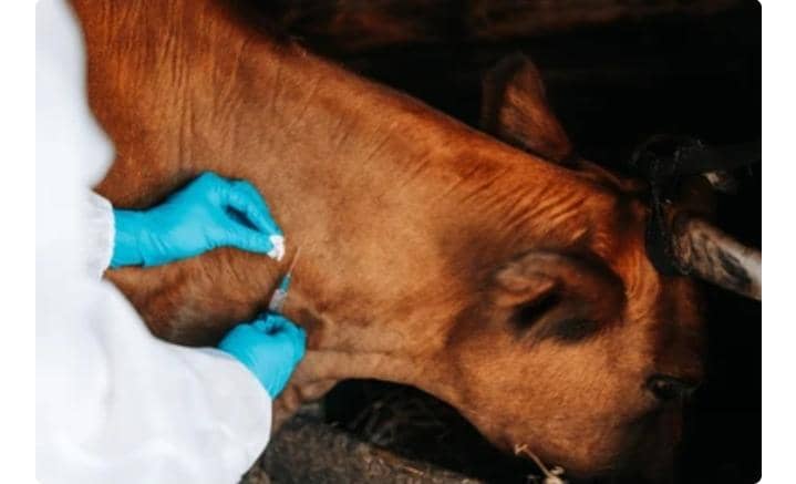 Photo d'illustration