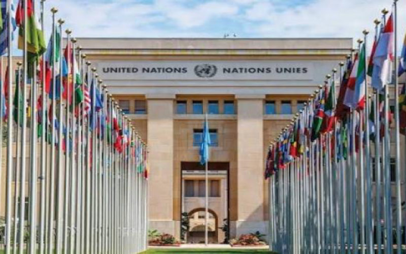 UN_pays membres.